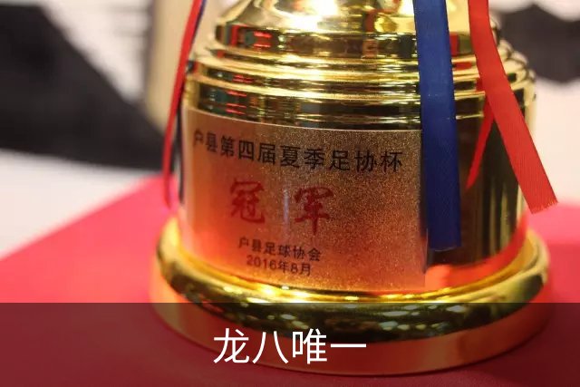 龙八唯一公司介绍展示图